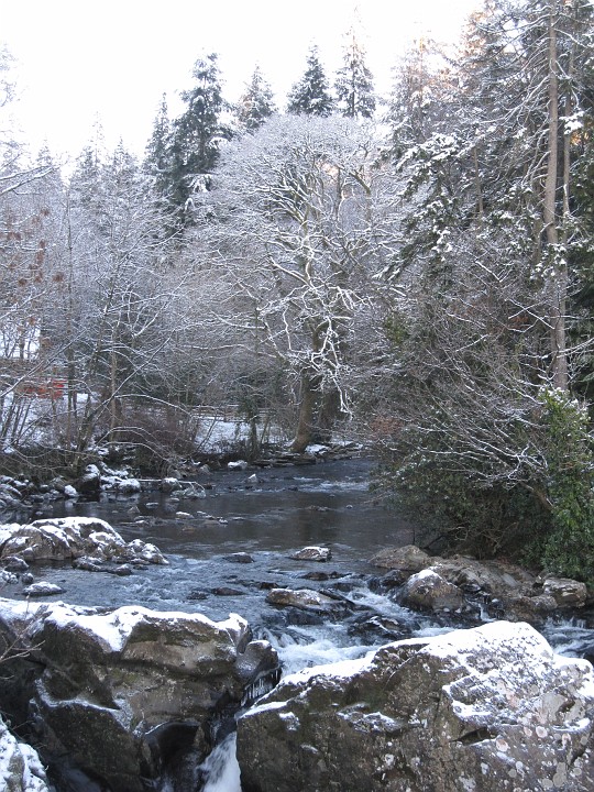 IMG_2937.jpg - Sunday 28th November: From the bridge in Betws-y-coed.  -7C.
