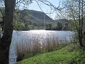 IMG_3264