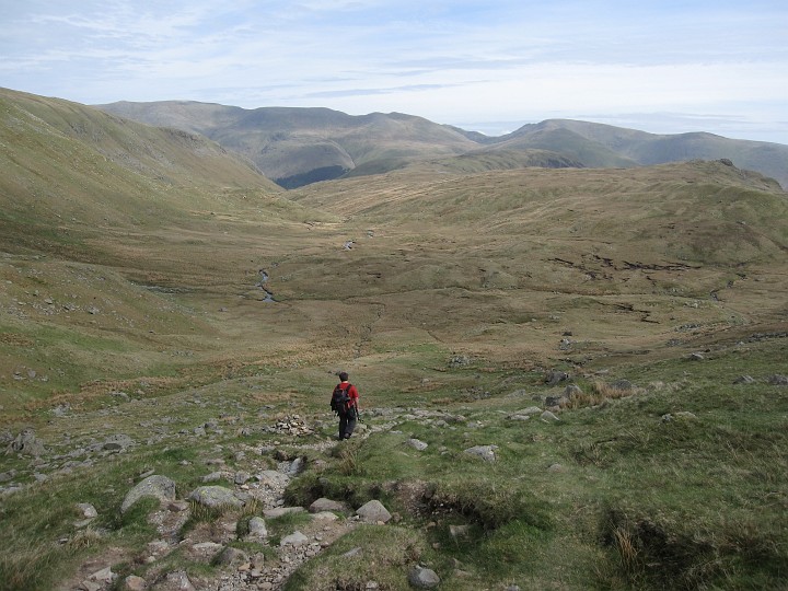IMG_3317.JPG - Looking back.  I'd walked from the vague path on the right.